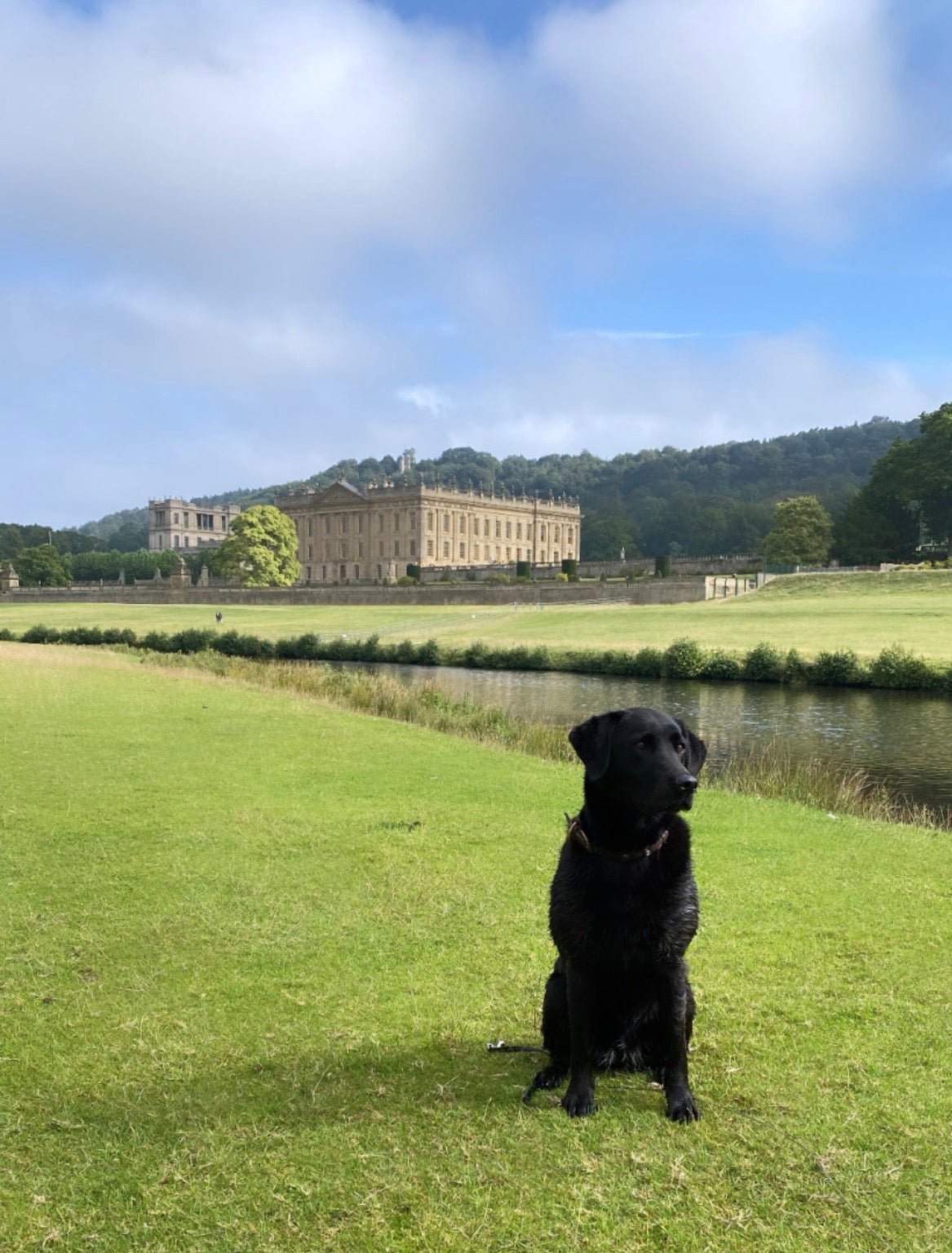 5 Best Dog Walks in Derbyshire: Dog-Friendly Walks & Routes - Pear Tree Stitch Studio