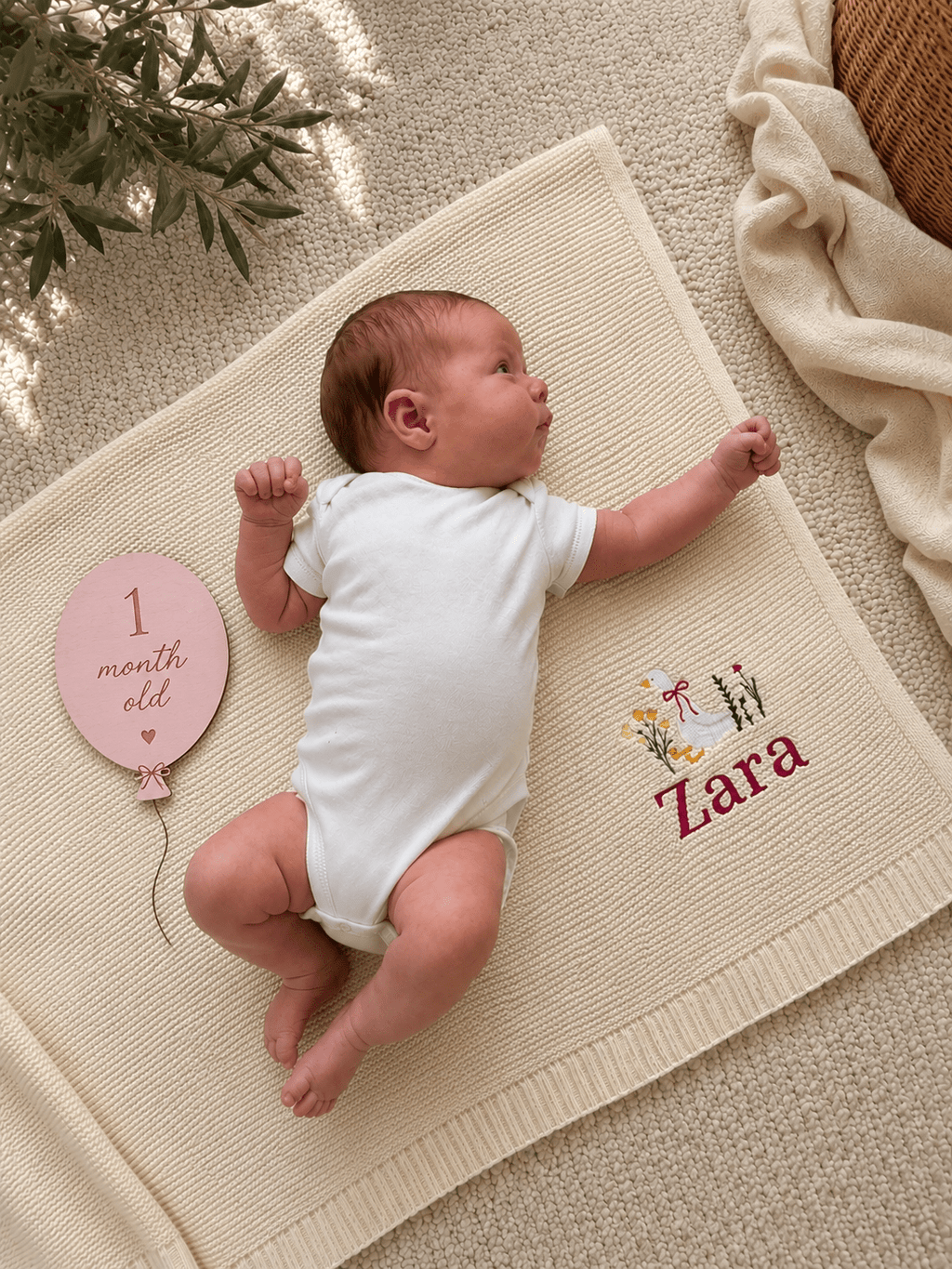 Personalised Embroidered Baby Blanket with Goose Design – Custom Name Knit Baby Blanket - Pear Tree Stitch Studio