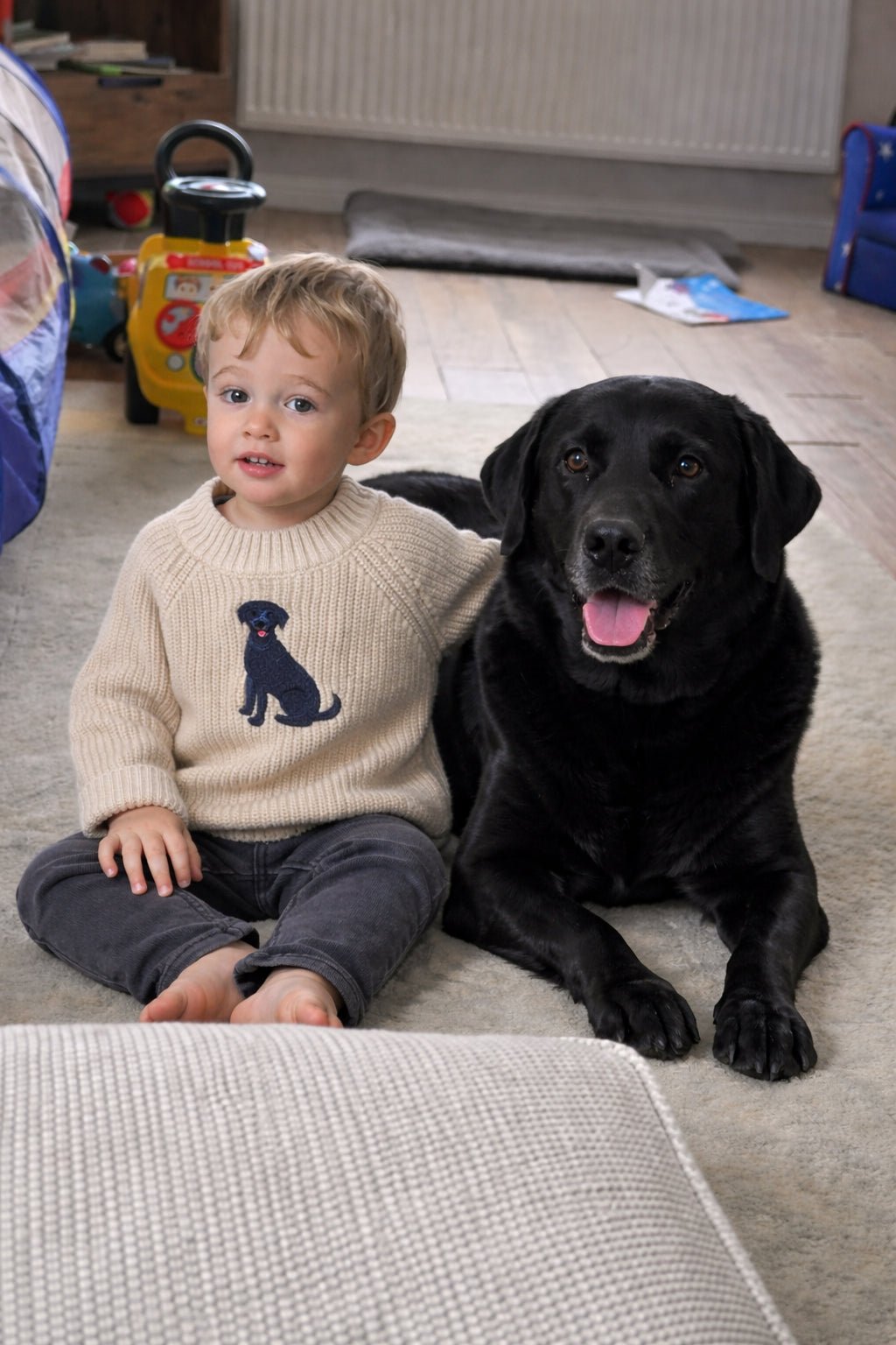 Personalised Labrador Baby & Toddler Jumper – Custom Children’s Knit Sweater – Labrador Lover Baby Gift - Pear Tree Stitch Studio