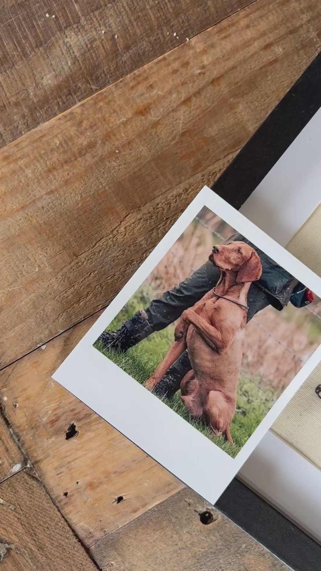 A Pet Portrait Frame – Custom Pet Portrait from Your Photo
